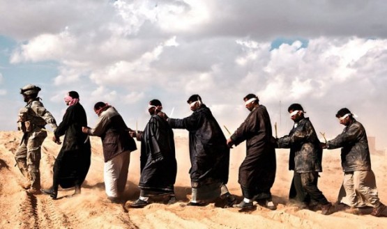 2008'de bazı bölgelerde şiddet olayları yüzde 80 oranında düşüş gösterdi.