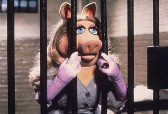 Muppet Show Suudi Arabistan'da yasaklanmıştır; zira başrolde bir domuz vardır!
