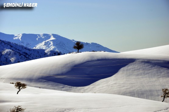 Fotoğraflar: Azer DEMİR - Yaşar KAPLAN