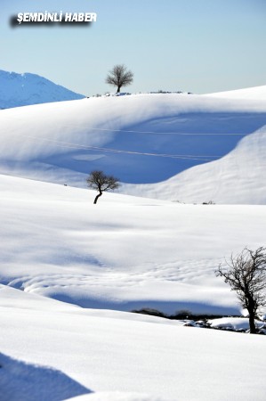 Fotoğraflar: Azer DEMİR - Yaşar KAPLAN