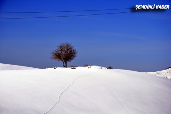 Fotoğraflar: Azer DEMİR - Yaşar KAPLAN