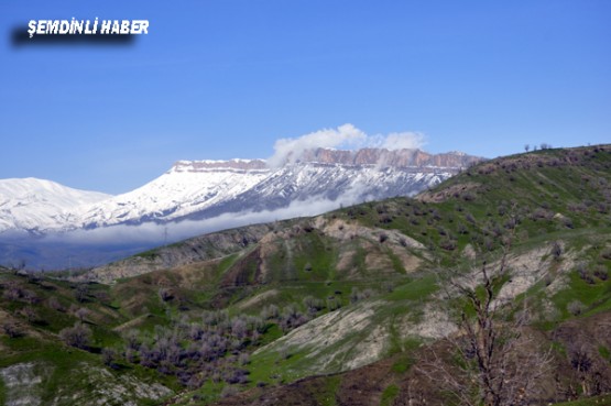 Fotoğraflar: Azer DEMİR - Yaşar KAPLAN