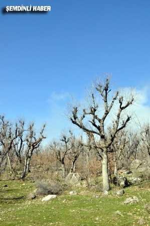 Fotoğraflar: Azer DEMİR - Yaşar KAPLAN