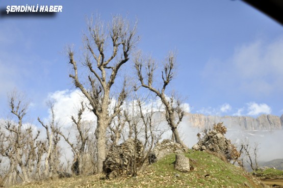 Fotoğraflar: Azer DEMİR - Yaşar KAPLAN