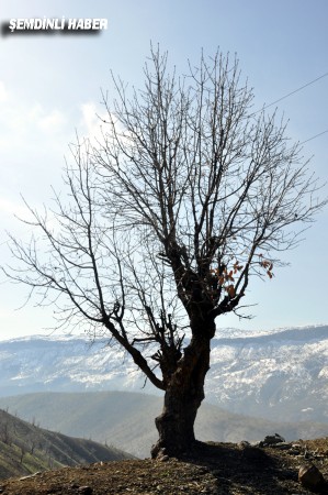 Fotoğraflar: Azer DEMİR - Yaşar KAPLAN