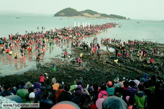 Güney Kore'deki Jindo adası her yıl dünyanın en ilginç doğal olaylarından birine tanıklık ediyor.