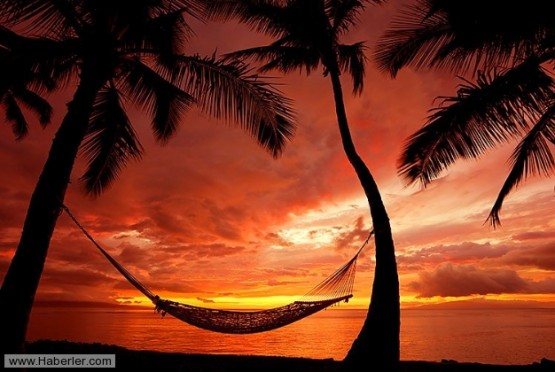 Tropikal iklimin hediyesi: Hawaii