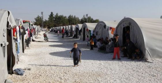 180 bin Kobanili için acil yardım çağrısı
