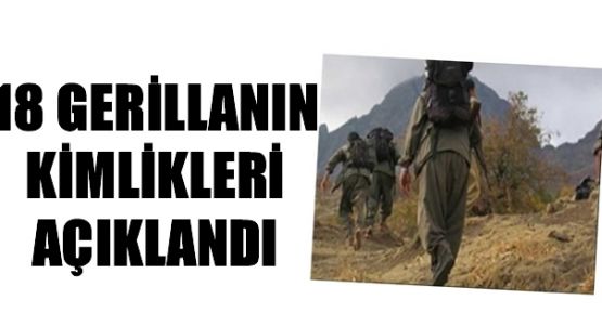 18 PKK'linin kimlikleri açıklandı