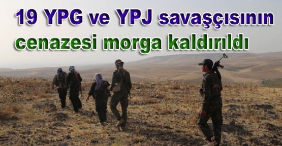 19 YPG ve YPJ savaşçısının cenazesi morga kaldırıldı