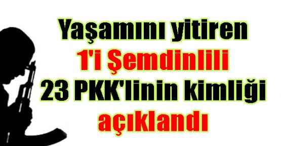 1'i Şemdinlili 23 PKK'linin kimliği açıklandı