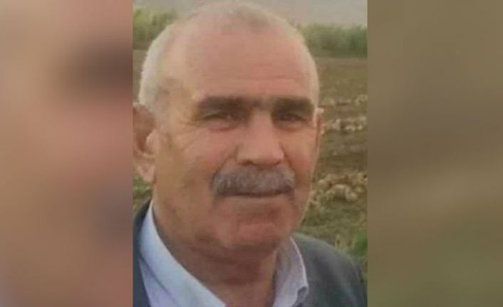 Hakkari Valiliği: Şerali Dereli evinde öldürülmedi