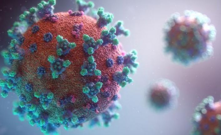 DSÖ'den Avrupa'ya 'hızlı yayılan virüs' uyarısı: Önlemleri artırın