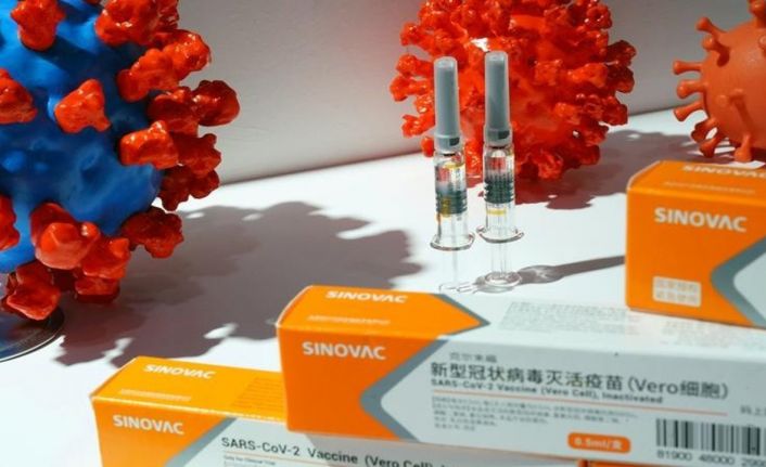 Çinli uzmanlar Sinovac aşısını yorumladı