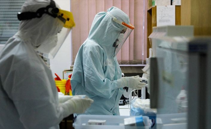 Türkiye'de koronavirüsten son 24 saatte 194 can kaybı