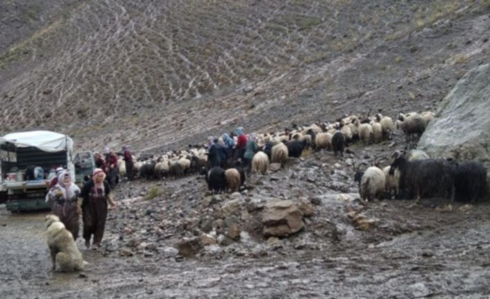 Selden kurtulan berivanlar: Tek geçim kaynağımız hayvanlarımızdı, o da gitti