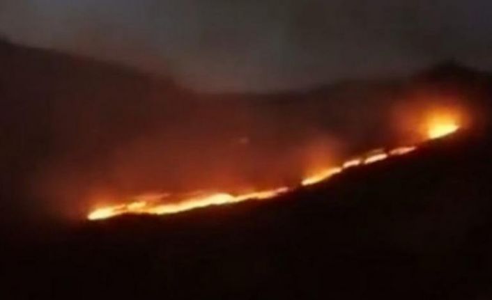 Şemdinli'de orman yangını