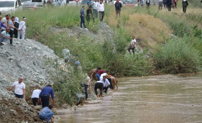 Yükselen Zap Suyu'nda binlerce balık öldü; düğüncüler balıklar için birbiriyle yarıştı
