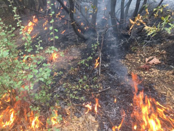 Şemdinli'deki orman yangını kısmi olarak kontrol altına alındı