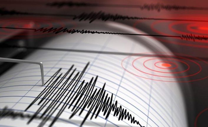 Bingöl'de gece yarısı korkutan deprem