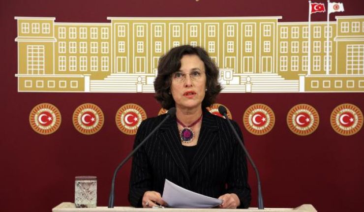 Filiz Kerestecioğlu: Türkiye'de bir Çocuk Bakanlığı kurulmalı