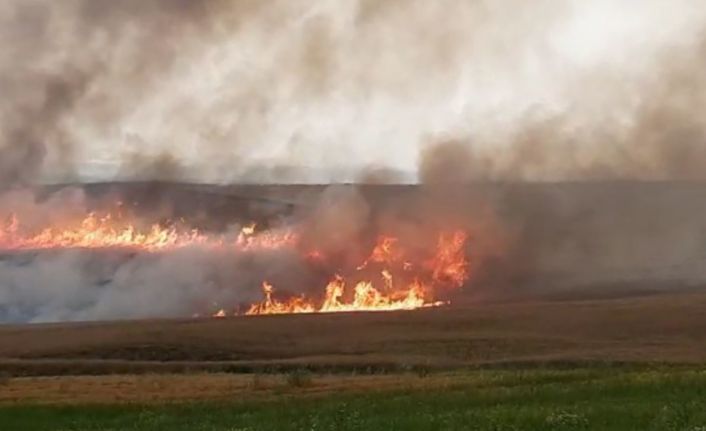 Tarlada çalışırken üzerine yıldırım düşen 13 yaşındaki Abdulsamed vefat etti