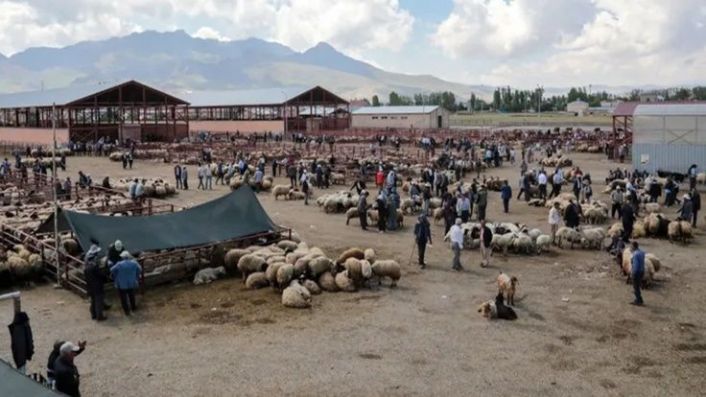 Van'da canlı hayvan pazarı: 'Siftah bile etmedim'