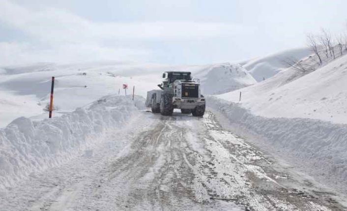 Hakkari'de kar yağışı nedeniyle 290 yerleşim yeri ulaşıma kapandı