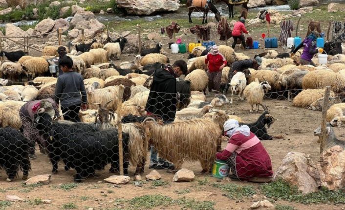 Bêrivanların yaşamı yaylaların güzelliği ile zorluğu arasında