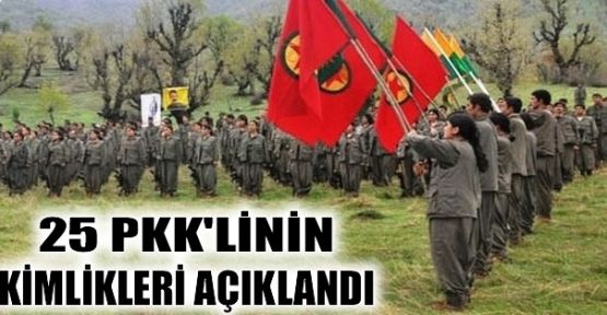 25 PKK'linin Kimlik Bilgileri Açıklanadı