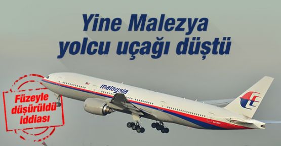 295 kişiyi taşıyan Malezya uçağı düştü
