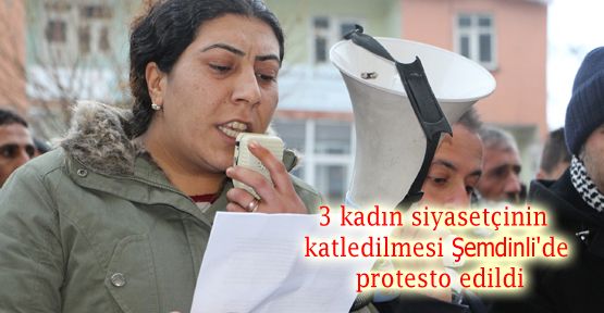 3 kadın siyasetçinin katledilmesi Şemdinli'de protesto edildi