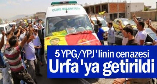 5 YPG/YPJ savaşçısının cenazesi Urfa'ya getirildi