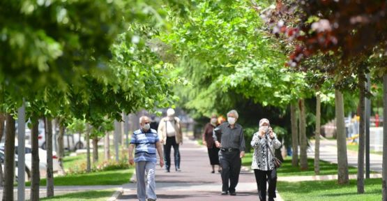 65 yaş üstü 'turizm belgesi' ile seyahat edebilecek
