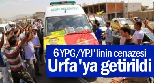 6 YPG ve YPJ savaşçısının cenazesi Urfa’ya getirildi