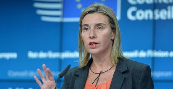 AB: PKK ile mücadelede siyasi süreç başlatılmalı