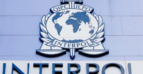 AB: Türkiye Interpol'ün kırmızı bültenini suistimal ediyor