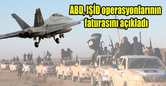 ABD, IŞİD operasyonlarının faturasını açıkladı