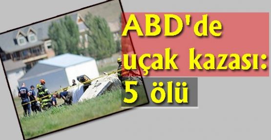ABD'de uçak kazası: 5 ölü