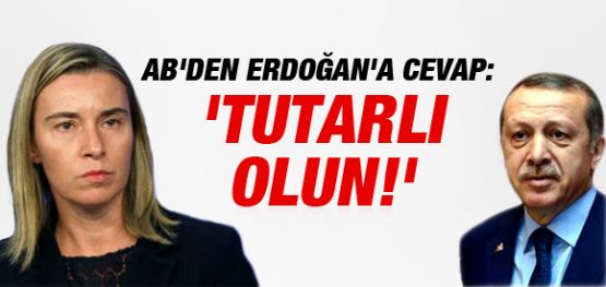 AB'den Erdoğan'a yanıt: Tutarlı olmak Türkiye'nin çıkarına