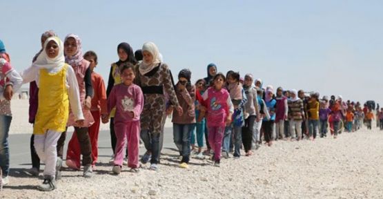 ABD'nin bazı eyaletleri Suriyeli mülteci kabul etmeyecek