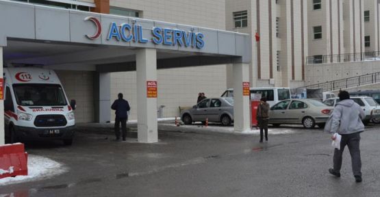Adana'da 2 kişi domuz gribinden öldü