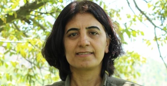 Adır: HDP sorunları çözmek için meclise girmeli