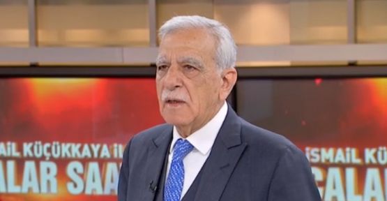 Ahmet Türk: Fren görevi görüyoruz
