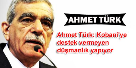 Ahmet Türk: Kobani'ye destek vermeyen düşmanlık yapıyor