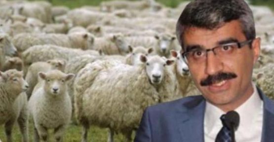 AK Partili adayın yakınlarına 300'er koyun!