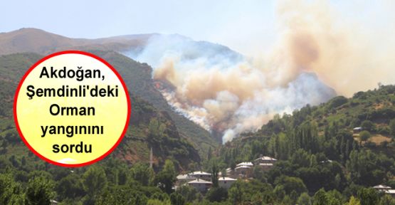Akdoğan, Şemdinli'deki Orman yangınını sordu