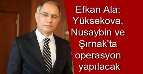 Ala: Yüksekova, Nusaybin ve Şırnak'ta operasyon yapılacak