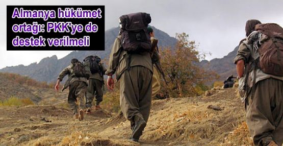 Almanya hükümet ortağı: PKK'ye de destek verilmeli