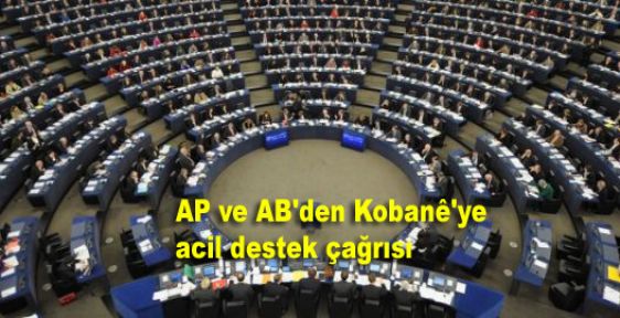 AP ve AB'den Kobanê'ye acil destek çağrısı